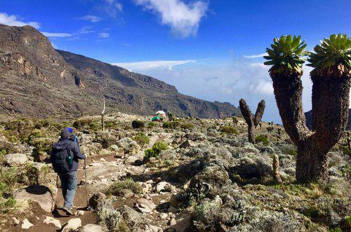 Lemosho Route Kilimanjaro - 8-day premium climbing route with stunning Shira Plateau views