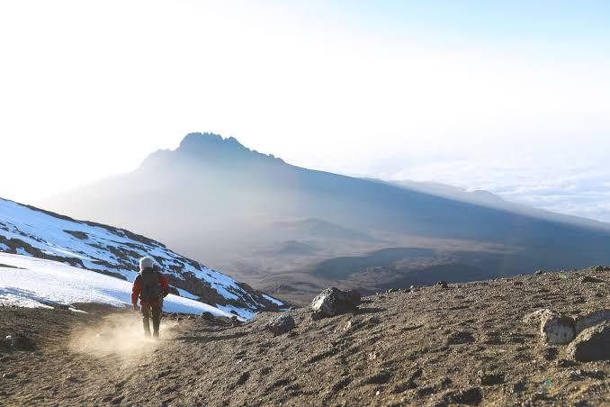 Machame Route Kilimanjaro - 7-day luxury climbing expedition through rainforest and moorland