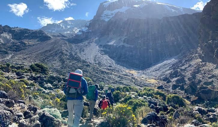 Rongai Route Kilimanjaro - 7-day northern approach route with wilderness camping